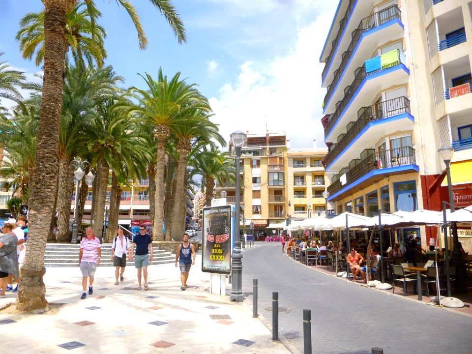 Benidorm - Paseo de Colón 1