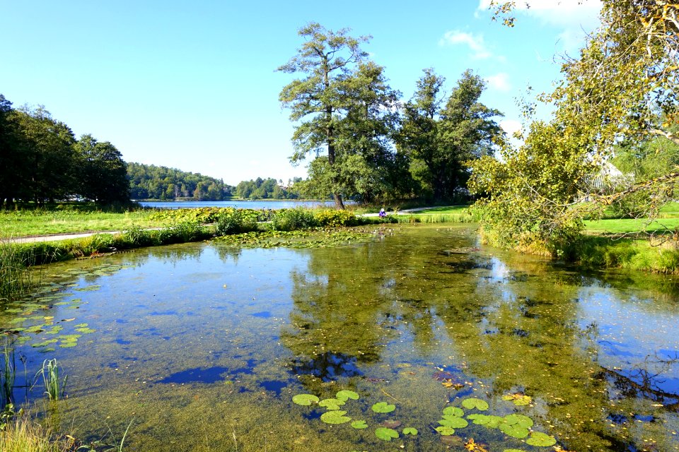 Bergianska trädgården - Stockholm, Sweden - DSC00121