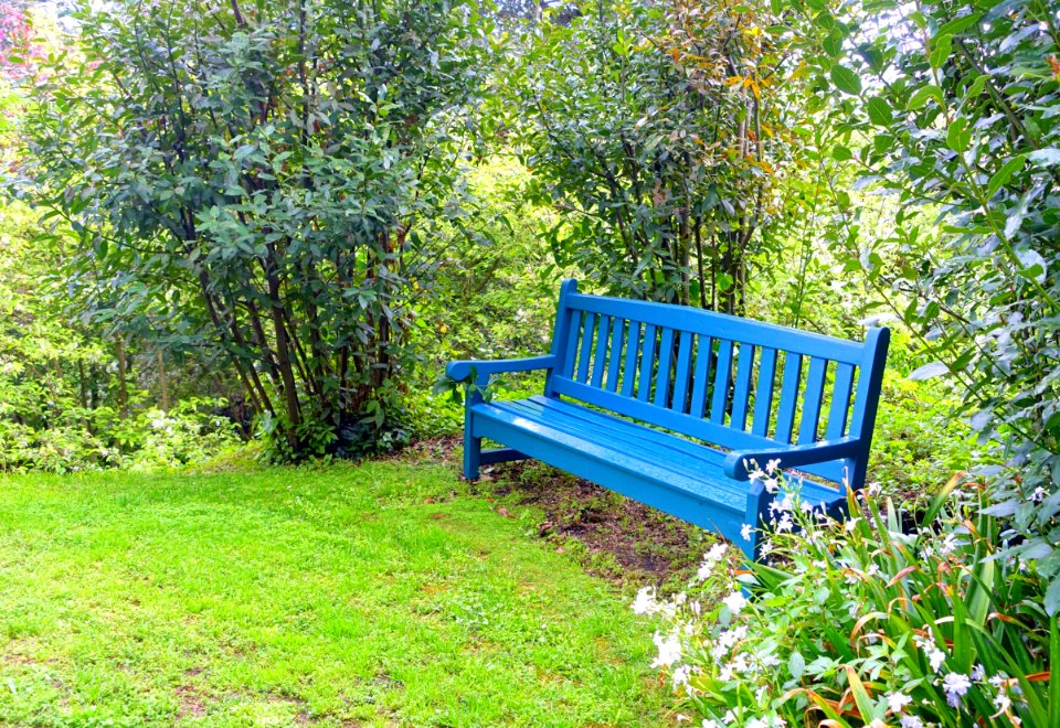 Bench - Torrecchia Vecchia - Cisterna di Latina, Italy - DSC03413