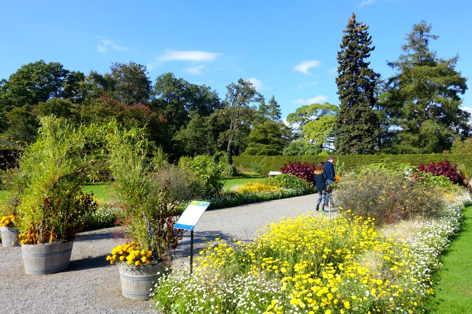 Bergianska trädgården - Stockholm, Sweden - DSC00302