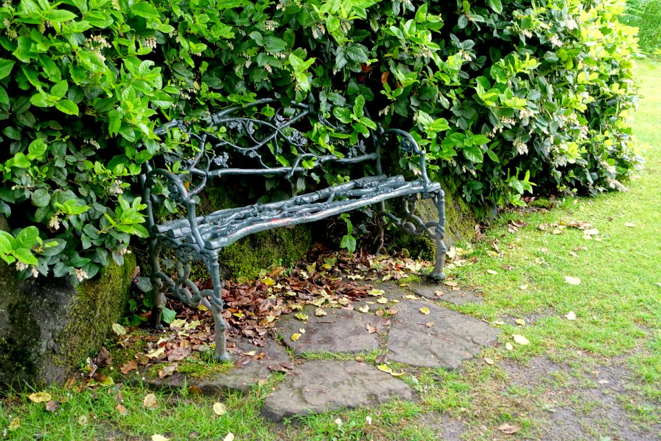 Bench - Biddulph Grange Garden - Staffordshire, England - DSC09214