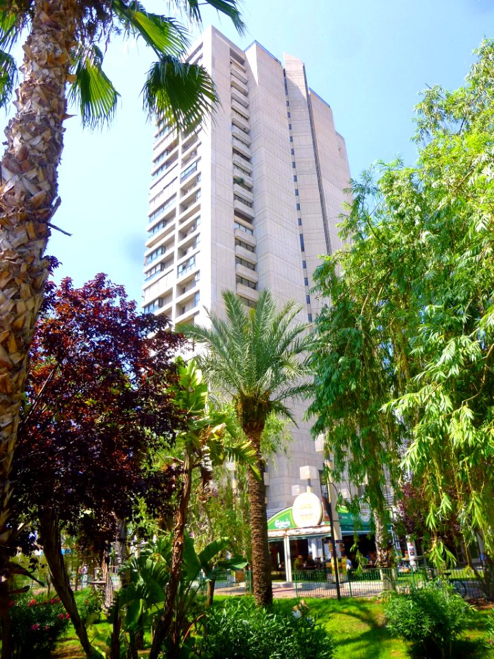 Benidorm - Edificio Santa Margarita 6