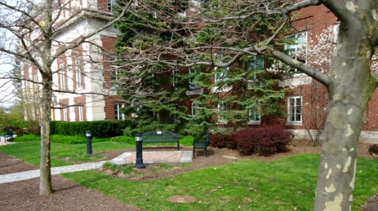 Benches at the University of Rochester