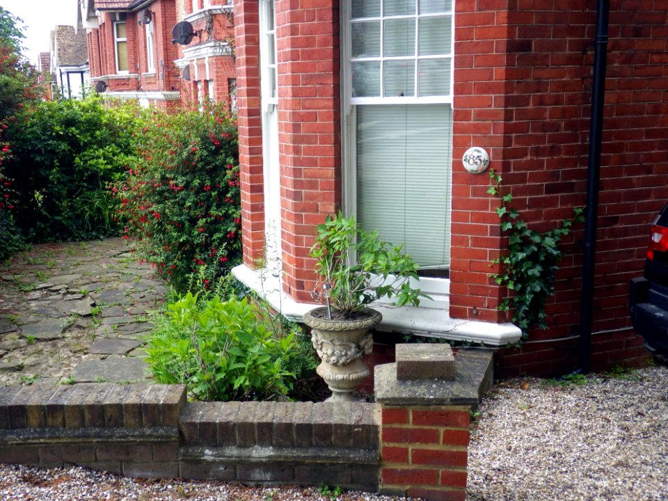 Benchmark, 85 Dorset Road, Bexhill (2)