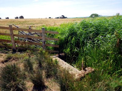 Benchmark, Bridge, near Footpath 72B, Bexhill (2)