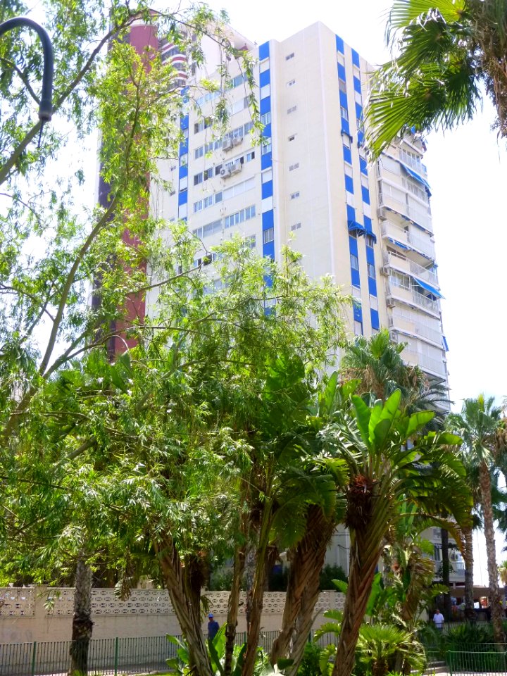 Benidorm - Edificio Torre Yago 5