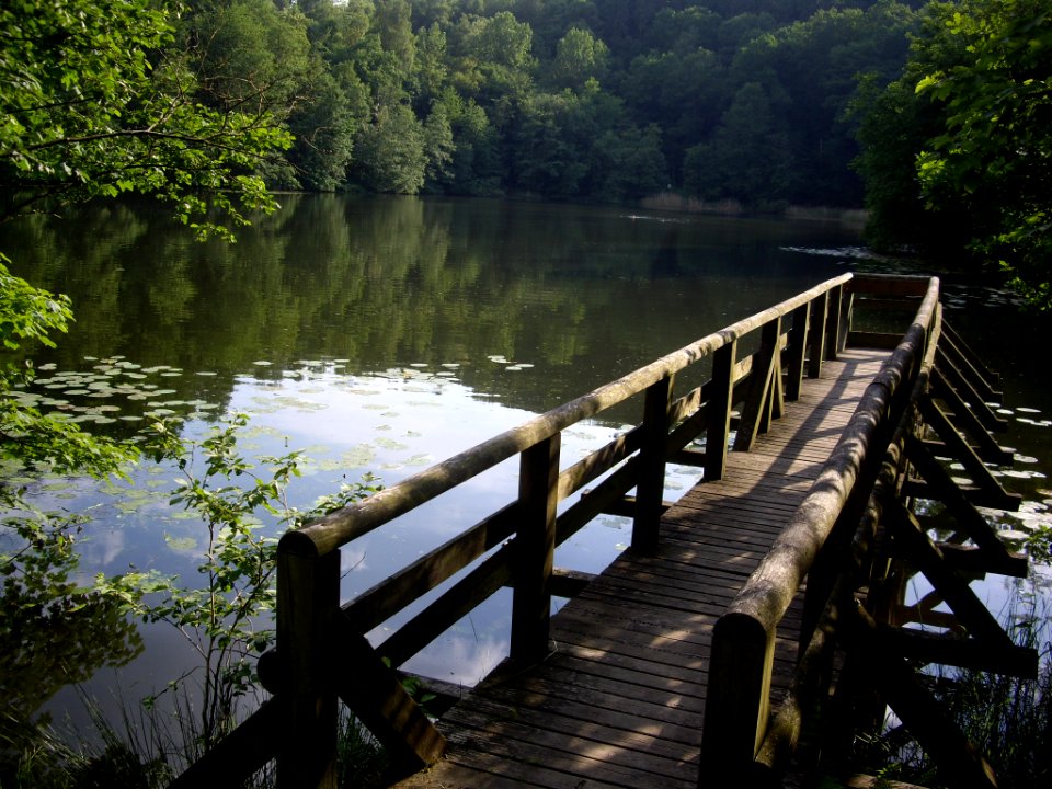 Bergsee-Delliehausen-03