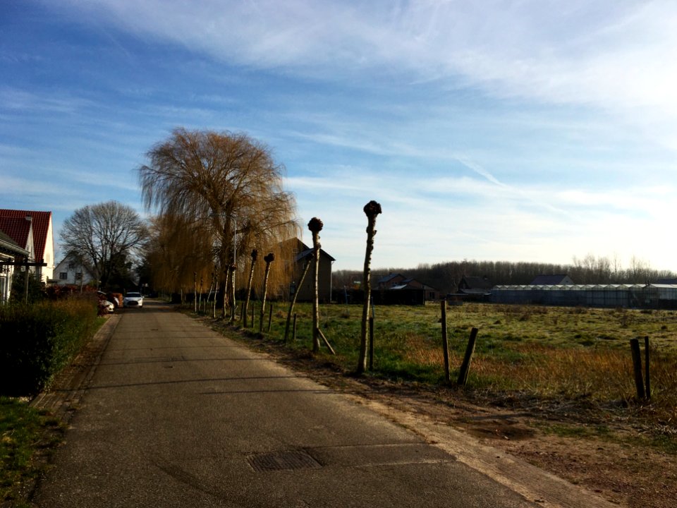 Bergstraat tussen Bemmel en Lent