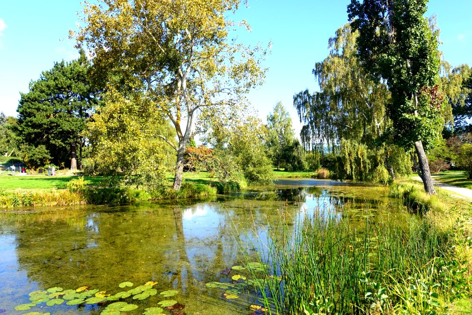 Bergianska trädgården - Stockholm, Sweden - DSC00119
