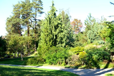 Bergianska trädgården - Stockholm, Sweden - DSC00494