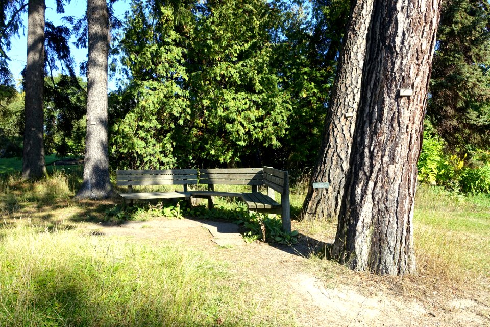 Bergianska trädgården - Stockholm, Sweden - DSC00130