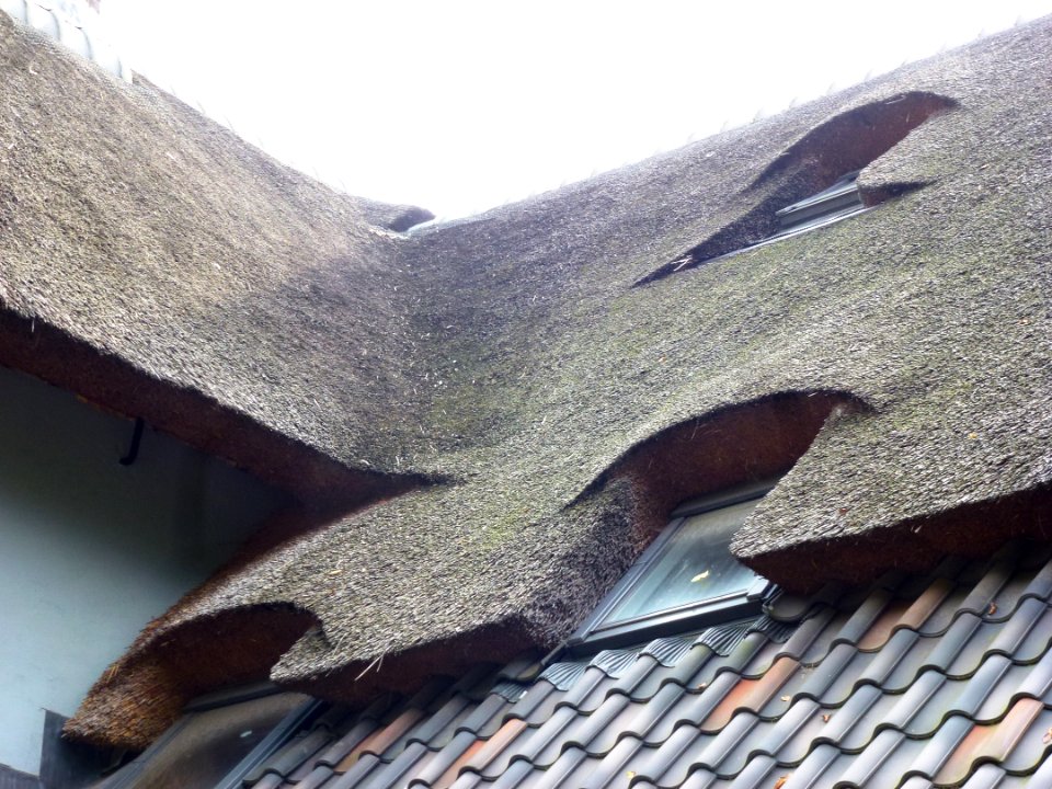 Berg en Dal (Groesbeek) Zevenheuvelenweg 57 detail rieten dak