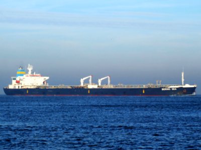 Bering Sea IMO 9085429 p1 approaching Port of Rotterdam, Holland 21-Dec-2007