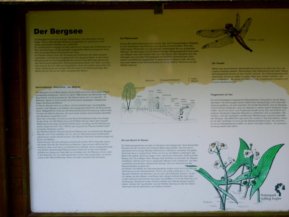 Bergsee-Delliehausen-04