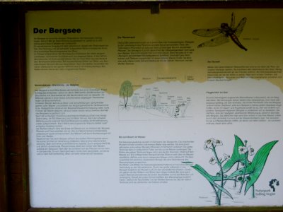 Bergsee-Delliehausen-04