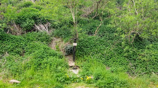 Berg en Terblijt-wegkruis bij Koelebosgroeve (1)