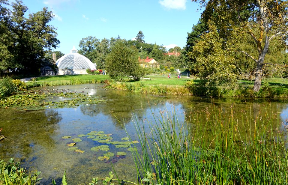 Bergianska trädgården - Stockholm, Sweden - DSC00120