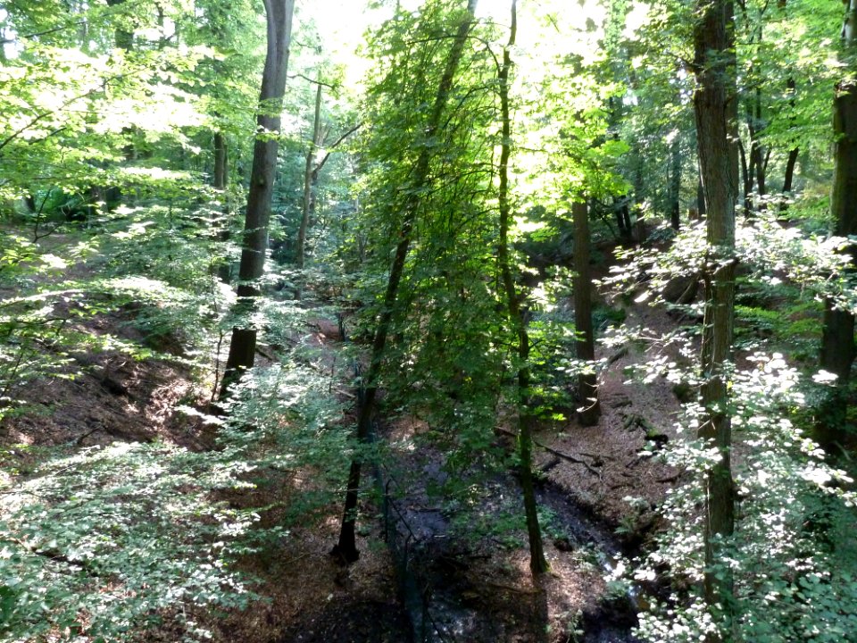 Berg en Dal-Romeins aquaduct bij Nachtegaalweg (1)