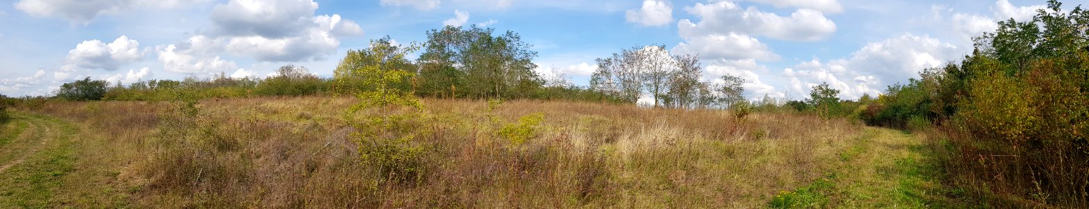 Berg-Langen Akker (3)