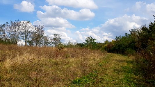 Berg-Langen Akker (2)