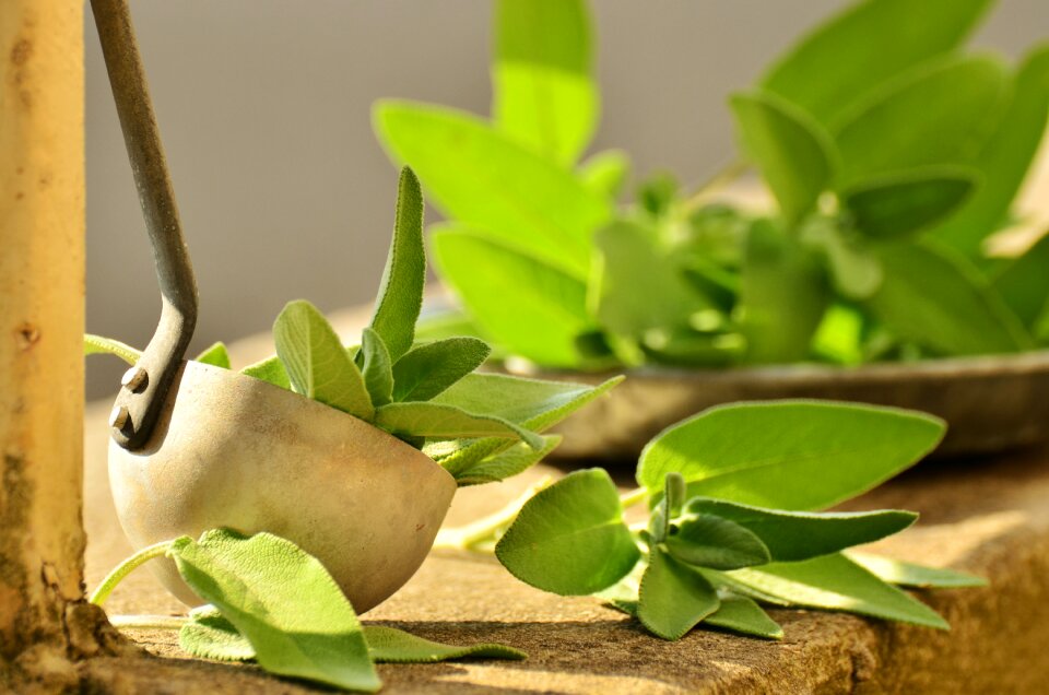 Healthy tea herbs health