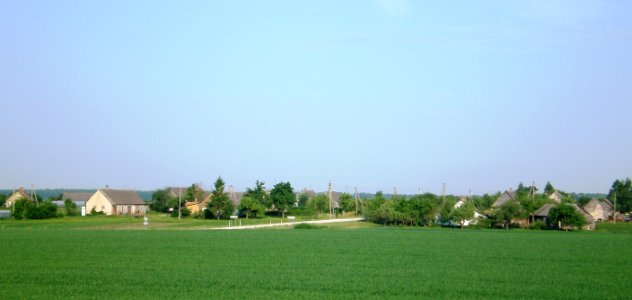 Berželė2