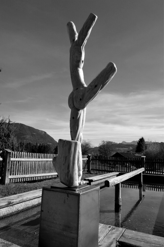 Carved art sculptor