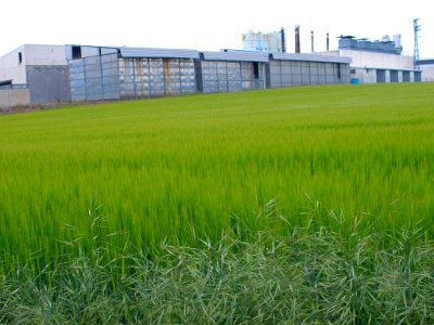 Berantevilla - Polígono Industrial Lacorzanilla, IMA Tarima Flotante 2