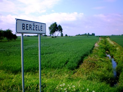 Berželė1