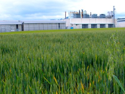 Berantevilla - Polígono Industrial Lacorzanilla, IMA Tarima Flotante 1