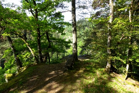 Berau (Ühlingen-Birkendorf) über dem Schlücht-Tal
