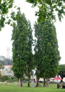 Benjamin Franklin Memorial - Washington Square, San Francisco, CA - DSC04886