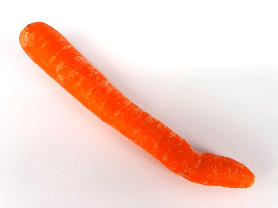 Bent carrot 2017 A1