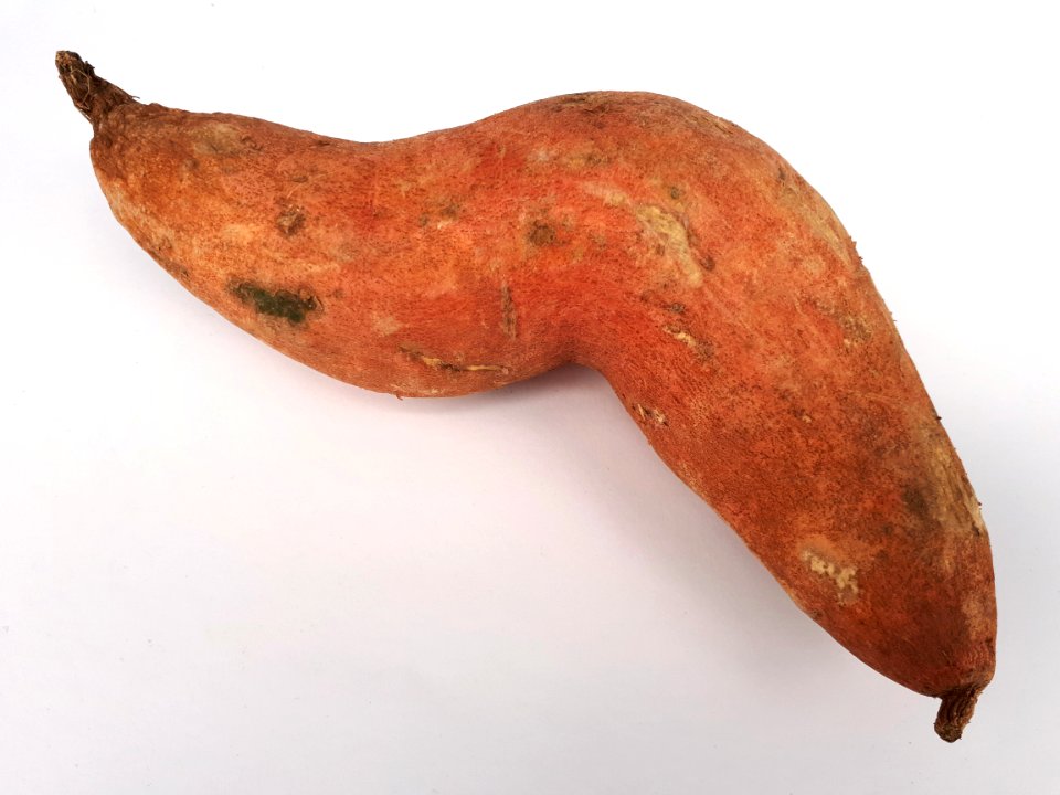 Bent sweet potato 2017 A