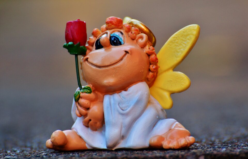 Rose valentine's day love