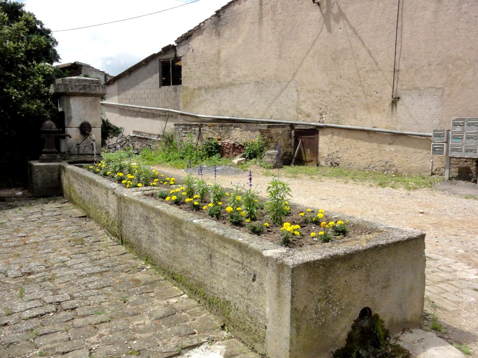 Benney (M-et-M) fontaine fleurie