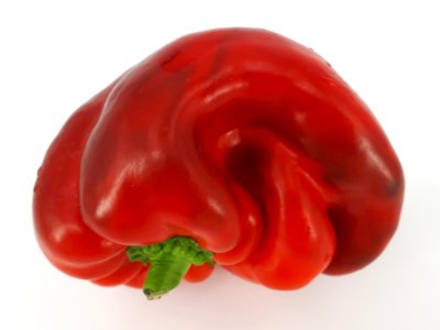 Bent red bell pepper 2017 - 1B