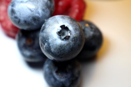 Berries fruits healthy