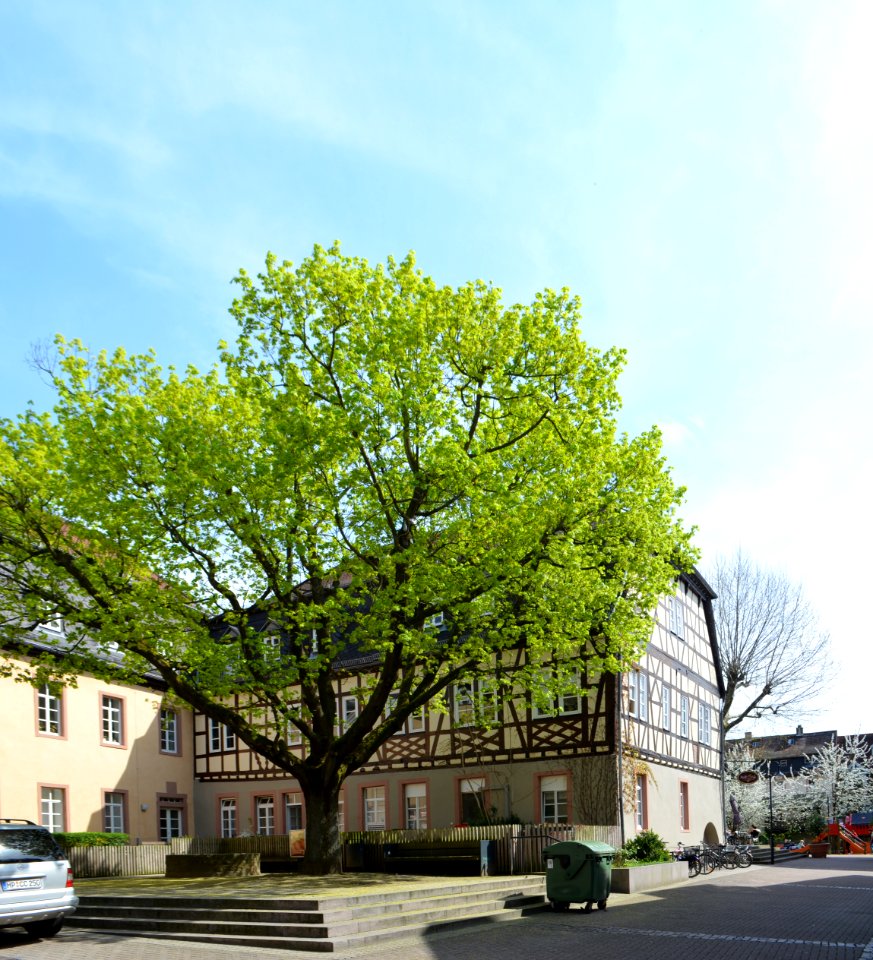 Bensheim, Wambolter Hof, Rückseite (2)