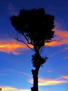 At dusk evening blue sky