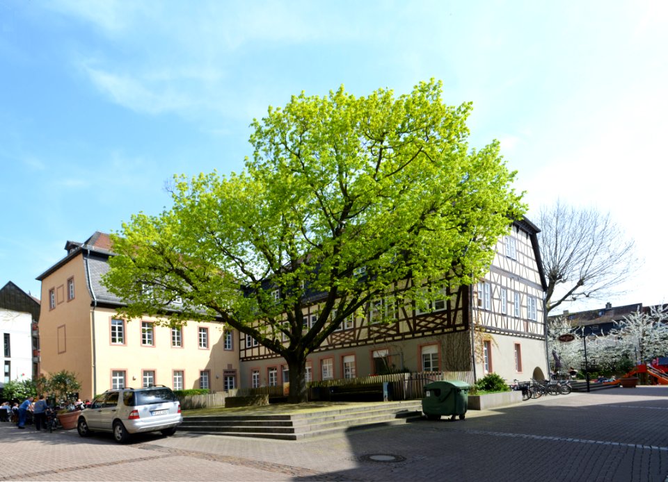 Bensheim, Wambolter Hof, Rückseite (1)