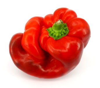 Bent red bell pepper 2017 - 1A