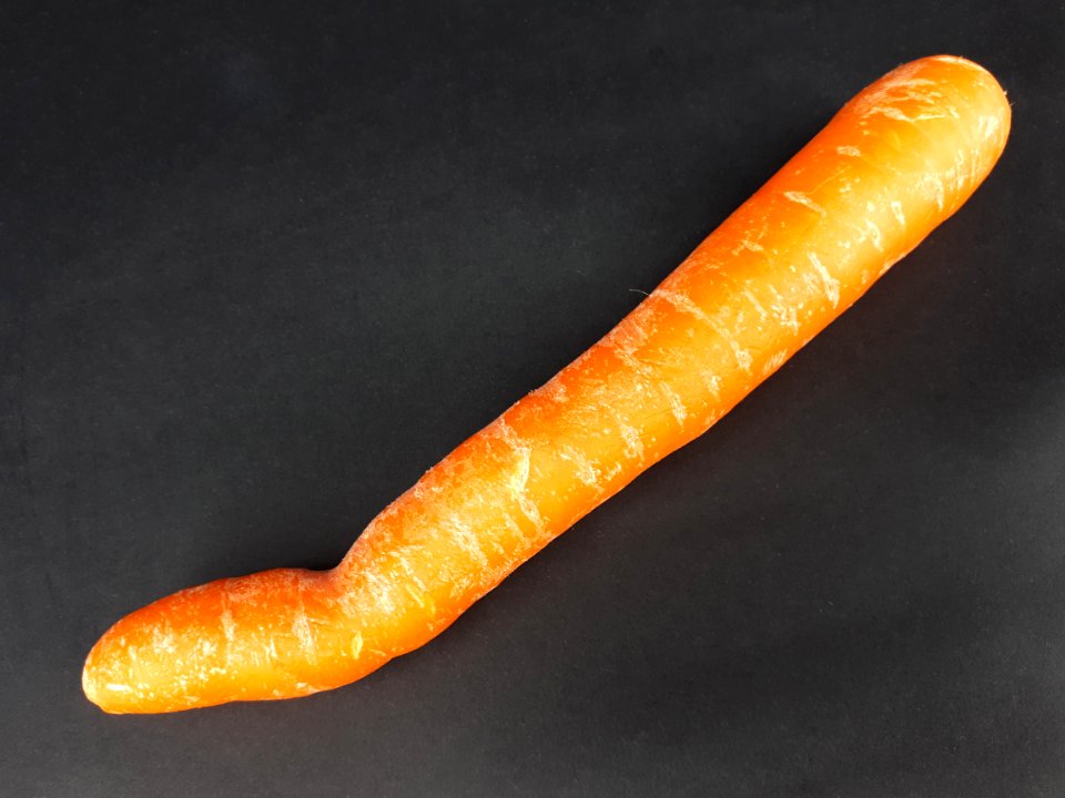 Bent carrot 2017 A3