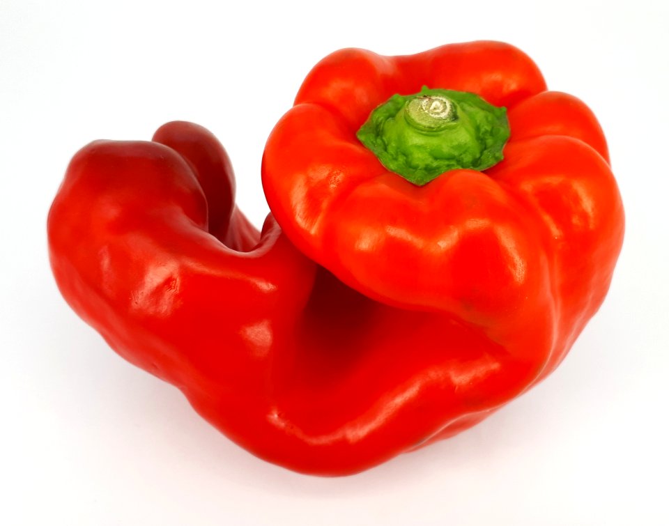 Bent red bell pepper 2017 - 2C