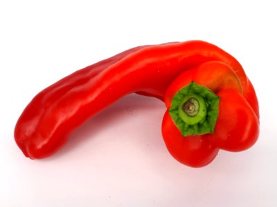 Bent red capsicum 2017 B1