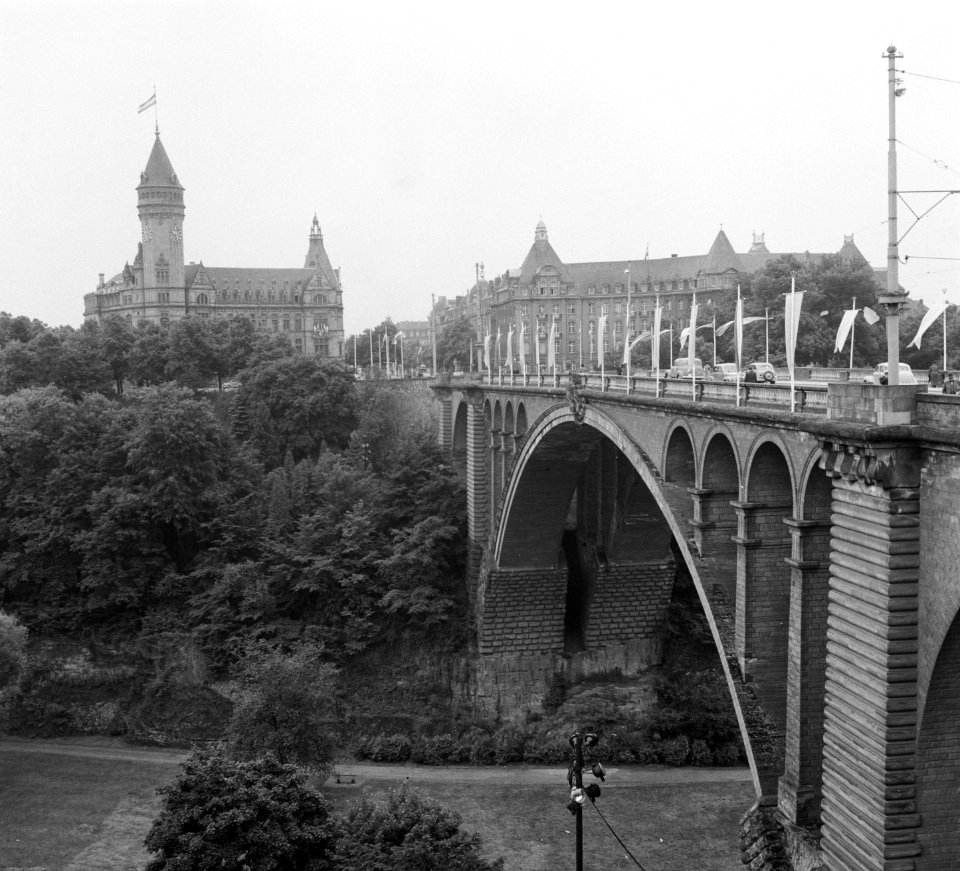 Bezoek Koninklijk Paar aan Luxemburg franje, Bestanddeelnr 904-6382