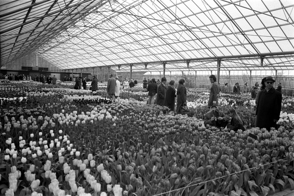 Bezoekers op Keukenhof, Bestanddeelnr 926-3552