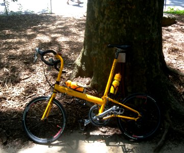 BF Pocket Rocket CP yellow jeh