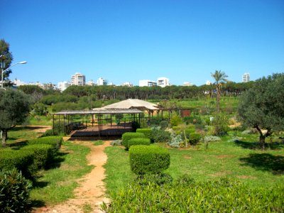 Beyrouth bois des pins 09