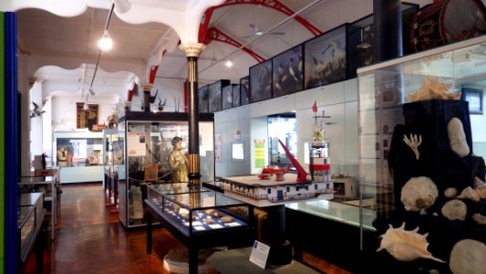 Bexhill Museum (indoor)